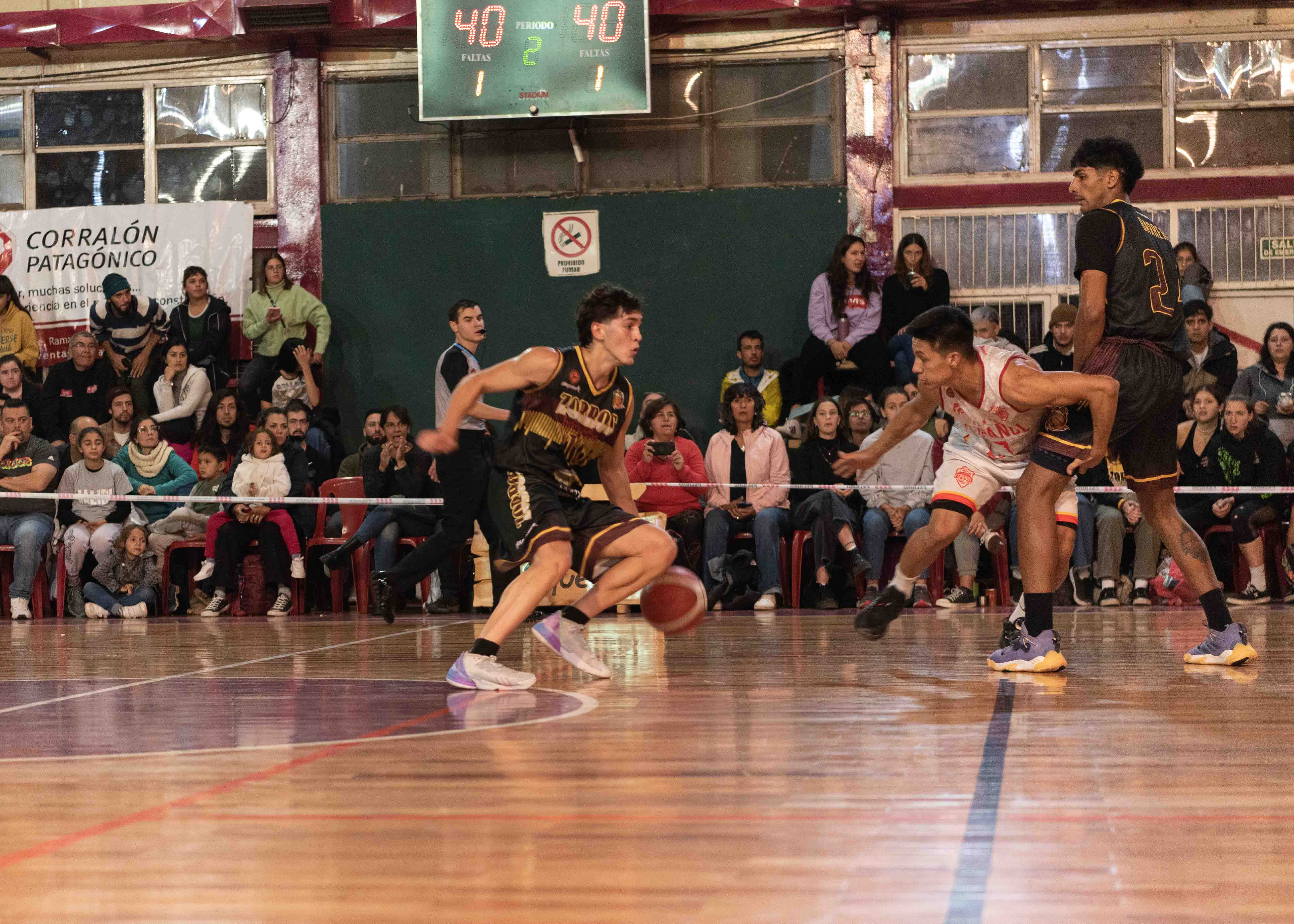 Zorros recibe al puntero